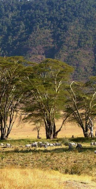 slideshow_parc_ngorongoro_10