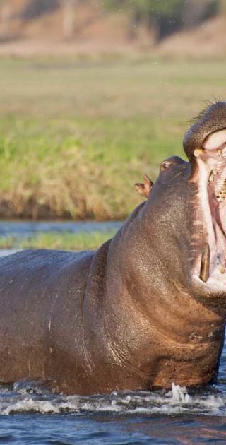 slideshow_parc_ngorongoro_2