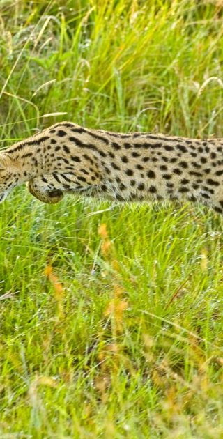 slideshow_parc_ngorongoro_5