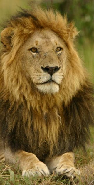 slideshow_parc_ngorongoro_6