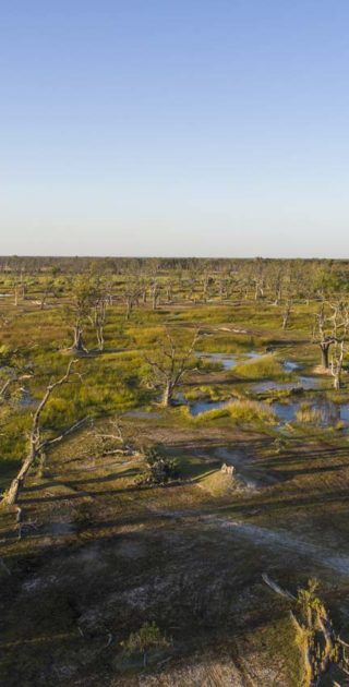 slideshow_parc_okavango_10