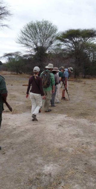 slideshow_parc_ruaha_2