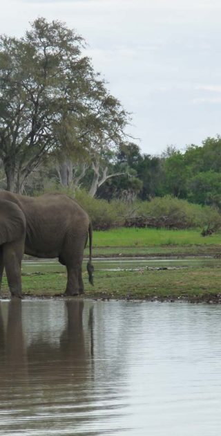 slideshow_parc_selous_10