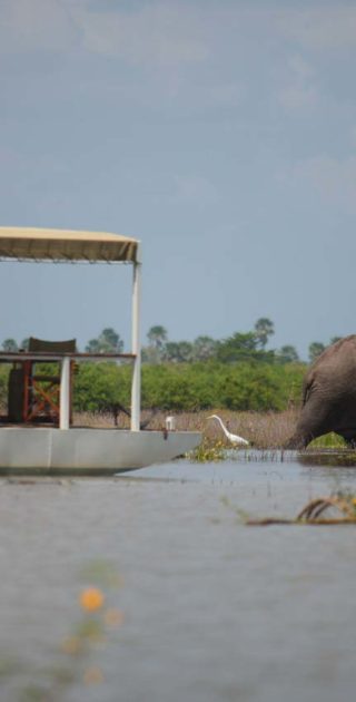 slideshow_parc_selous_11