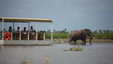 Siwandu Camp rénové (06/05/2023)