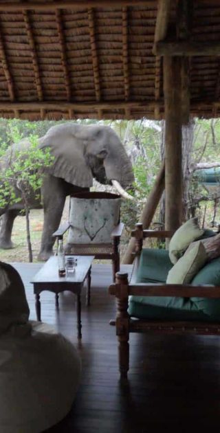 slideshow_parc_selous_12