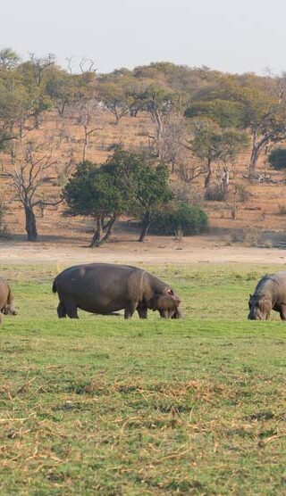 slideshow_parc_selous_4