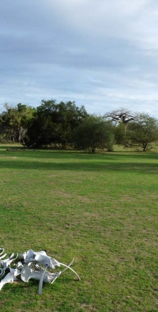 slideshow_parc_selous_5