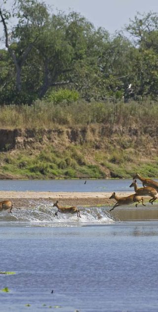 slideshow_parc_selous_7