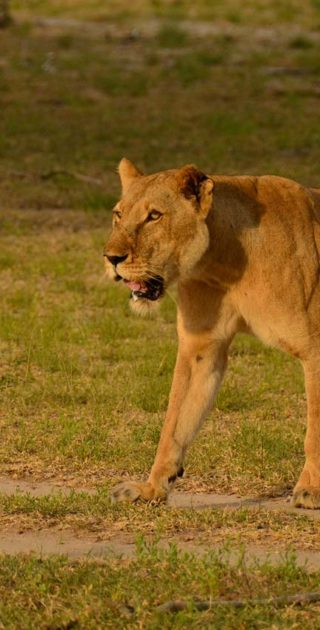 slideshow_parc_selous_8