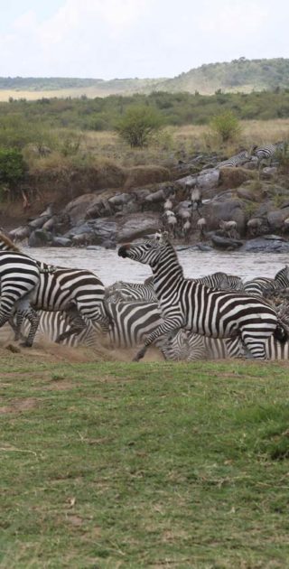 slideshow_parc_serengeti_12