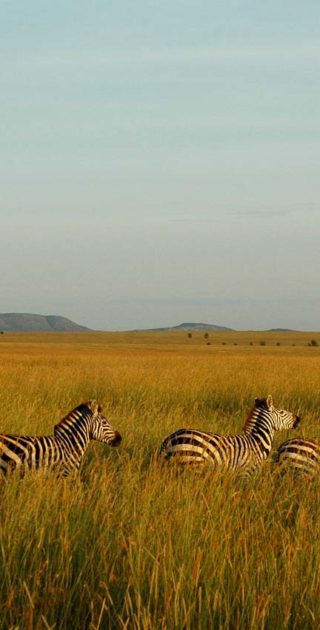 slideshow_parc_serengeti_6