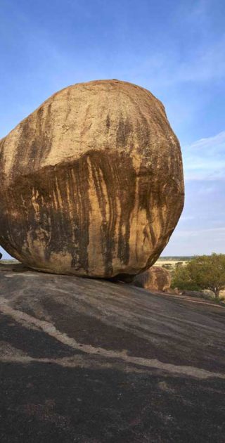 slideshow_parc_serengeti_7