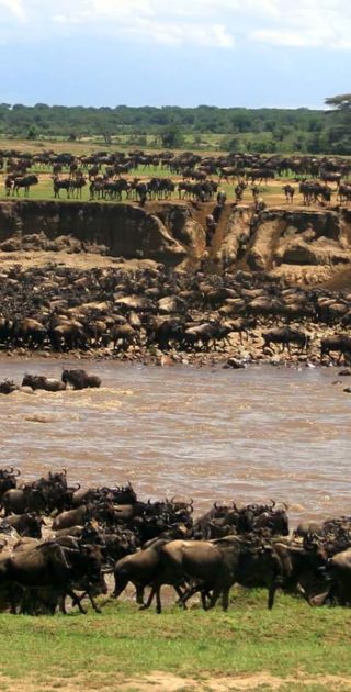 slideshow_parc_serengeti_8