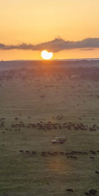 slideshow_parc_serengeti_9