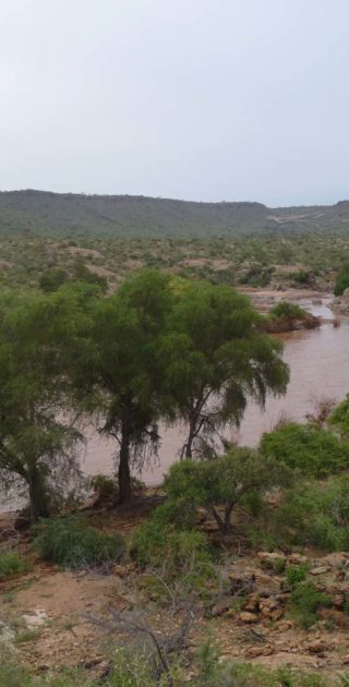 slideshow_parc_tsavo_2