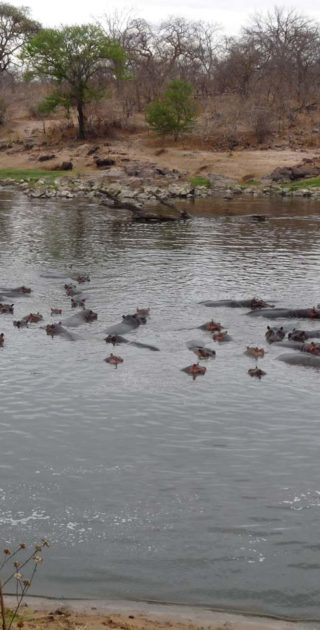 slideshow_tanzanie_9nuits_ocean_indien_1