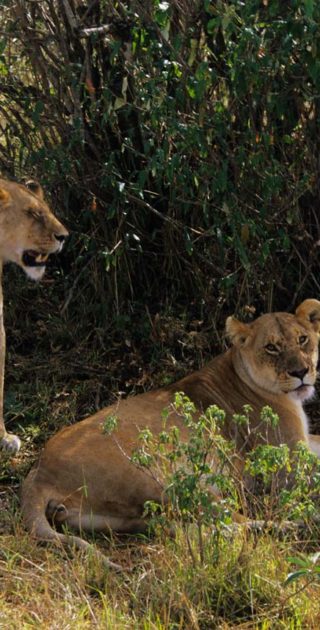 slideshow_tanzanie_9nuits_ocean_indien_5