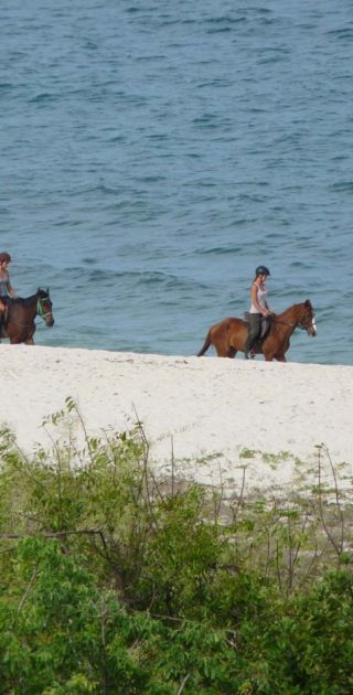 slideshow_tanzanie_9nuits_ocean_indien_6