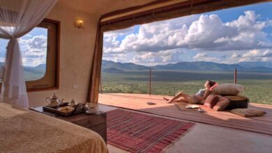 Covid 19 : Vaccination de nos guides (04/09/2021)