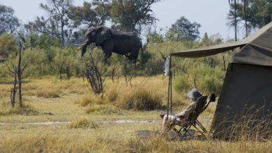 MADAME FIGARO MAGAZINE (01/10/2022)