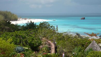 La rénovation de Fanjove Island est terminée (11/03/2023)