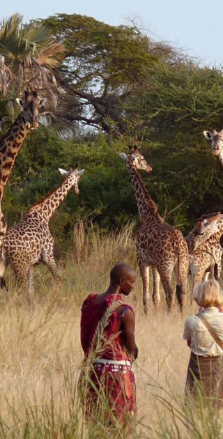 slideshow_parc_chem_chem_10