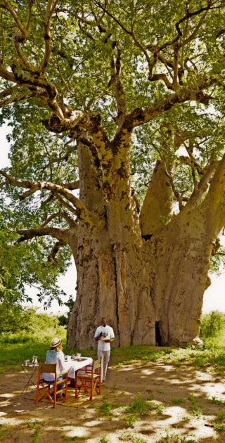 slideshow_parc_chem_chem_2