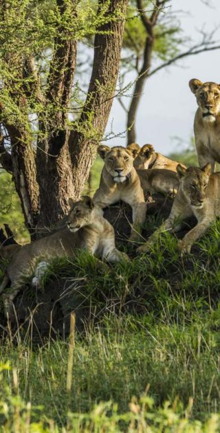 slideshow_parc_chem_chem_4