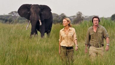 CHEM CHEM : UN ACCOMPLISSEMENT (05/11/2022)