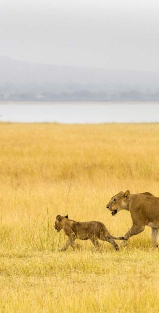 slideshow_parc_chem_chem_8