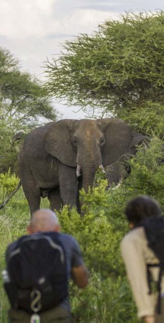 slideshow_parc_chem_chem_9