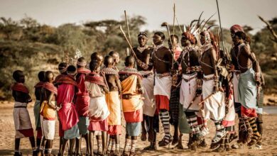 Encore une bonne nouvelle (12/03/2022)