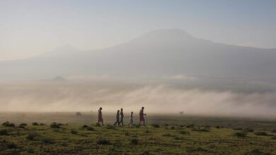 Les témoignages se succèdent (11/09/2021)