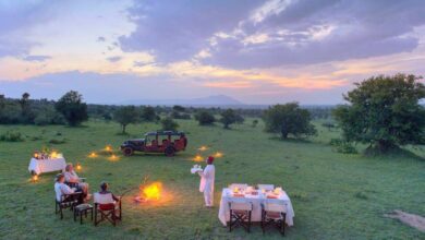 Fièvre jaune : rappel des obligations en Afrique de l’Est (22/02/2025)