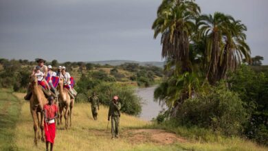 Kenya : Le visa obligatoire supprimé à partir du 1er Janvier 2024 (16/12/2023)