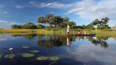 Coronavirus Covid-19 Botswana (20/11/2020)