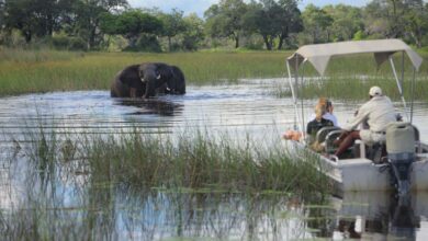 UN VISA UNIQUE POUR CINQ PAYS D’AFRIQUE AUSTRALE VA ÊTRE INTRODUIT BIENTÔT (17/06/2024)