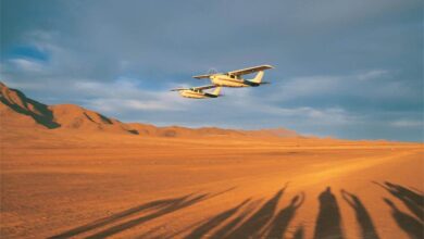 Témoignage : Retour de Namibie (23/07/2022)