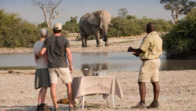 Botswana. La plupart des lodges et camps rouvrent les uns après les autres ! (15/05/2021)