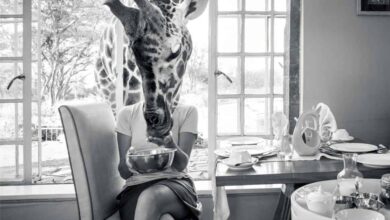 Bagages cabines : les règles changent le 1er Septembre ! (28/08/2024)