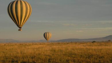 Une autre façon de découvrir la savane : le vol en montgolfière (05/12/2023)