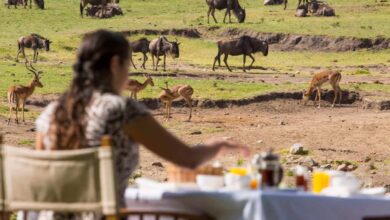 WHAOUU !!! (18/10/2021)