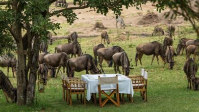 Le Ritz-Carlton dans le Masaï Mara au Kenya (16/07/2025).