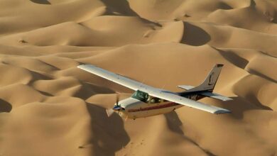 IATA : le trafic aérien mondial atteint des niveaux records en 2024 (31/01/2025)