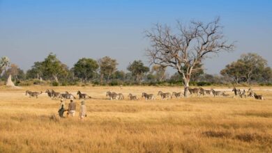 L’ouverture se confirme (05/03/2022)