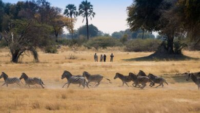 « L’avenir du tourisme de luxe ? L’exclusivité et l’éco-responsabilité » (25/11/2023)