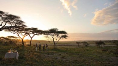 Dernier témoignage d’un client ! (19/06/2021)