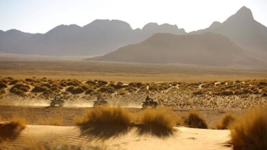 Voyage en Namibie : nouvelles formalités d’entrée le 1er avril, voici ce qui change ! (14/02/2025)