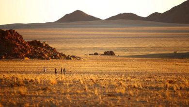 Namibie : les voyageurs français auront bientôt besoin d’un visa (28/05/2024)